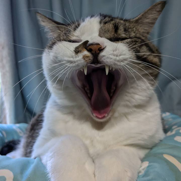 3254b45d 6128 4a03 b622 baf9853189bd 1728715104366