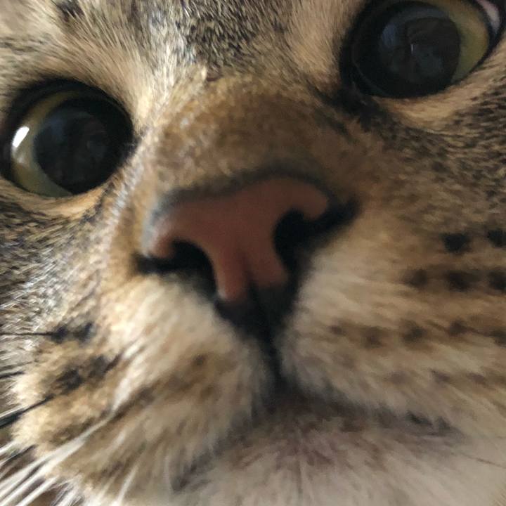 3254ca82 9b12 4799 8eb1 e8802c6d69c7 1565254811360