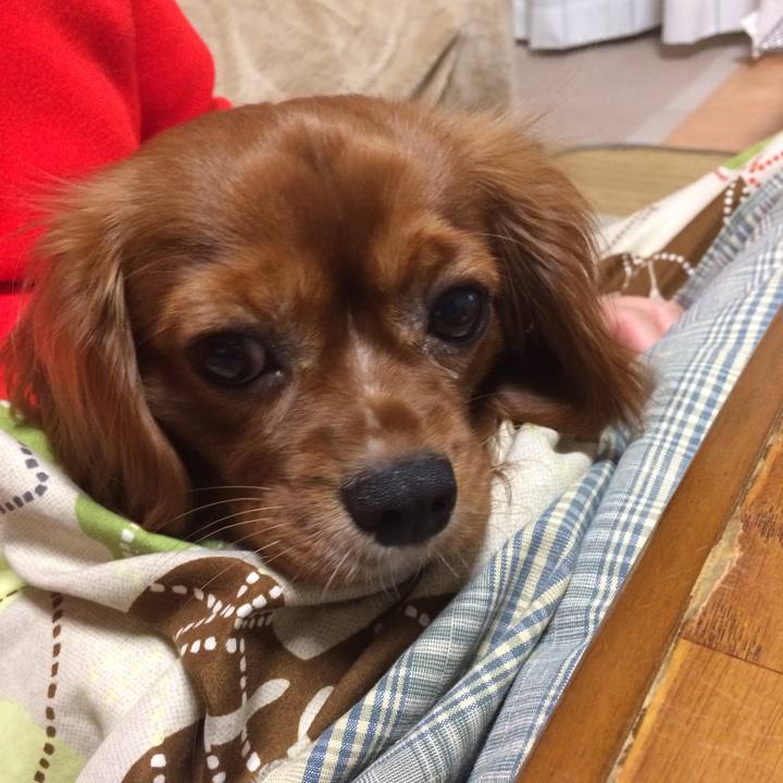 3254f8a0 c8f2 4759 aeb6 55d7e528055b 1515406867547