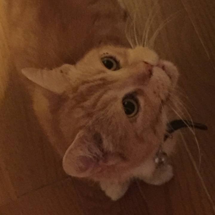 3255075d a8a9 4540 bc2a 928c5ecce465 1561642628384