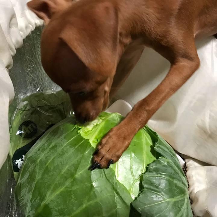 325578d7 59bc 4c23 9436 5522270f2325 1669951038997