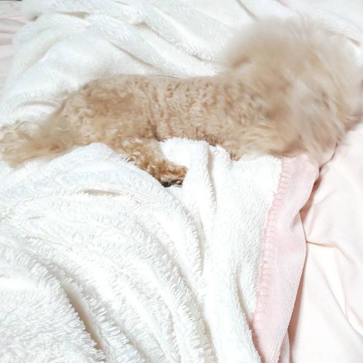 32557ded 7467 4b40 9b18 b10d694ae179 1581029348285