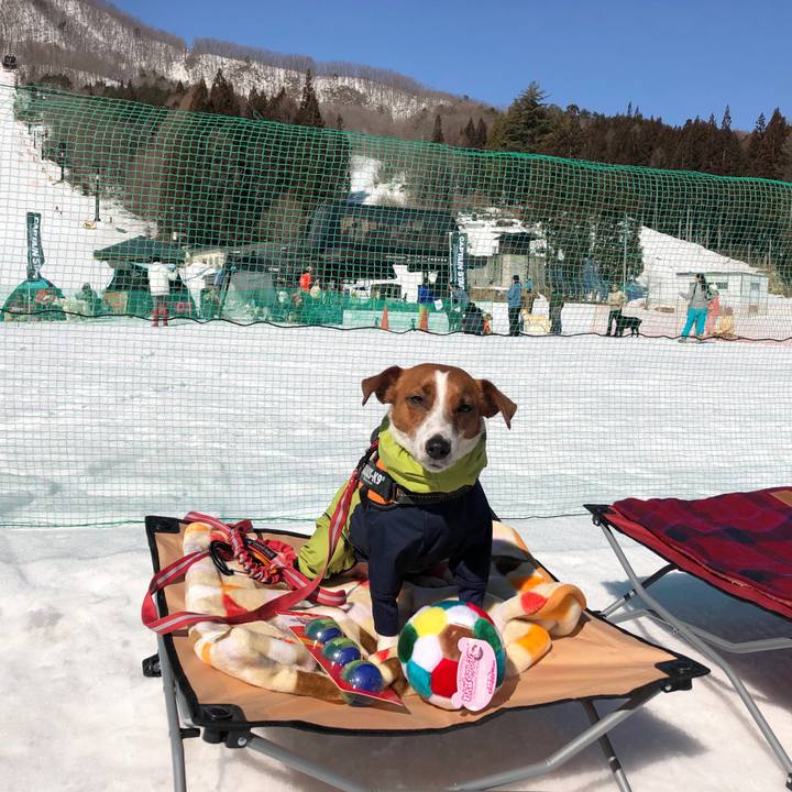 325584ab 44fb 4134 8dbd a6c6c10437a4 1550973256341