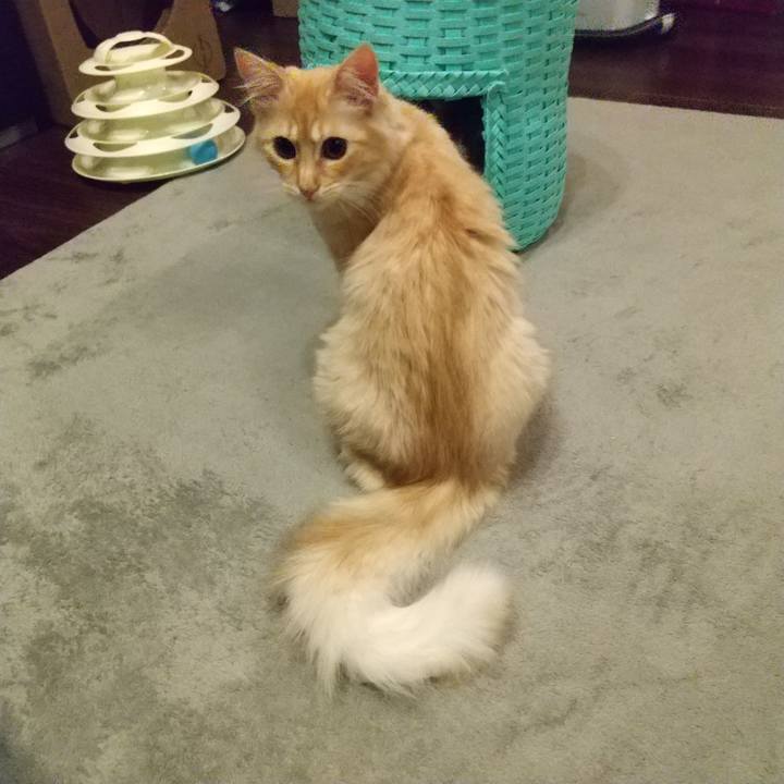 3255d764 5f3d 427d 8d90 f64ab54160f1 1613218236860