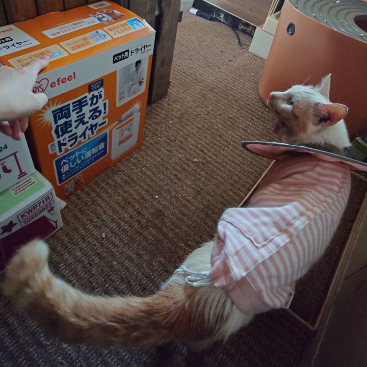 3255ee87 1999 4361 b167 f9d13db4399f 1760667205595