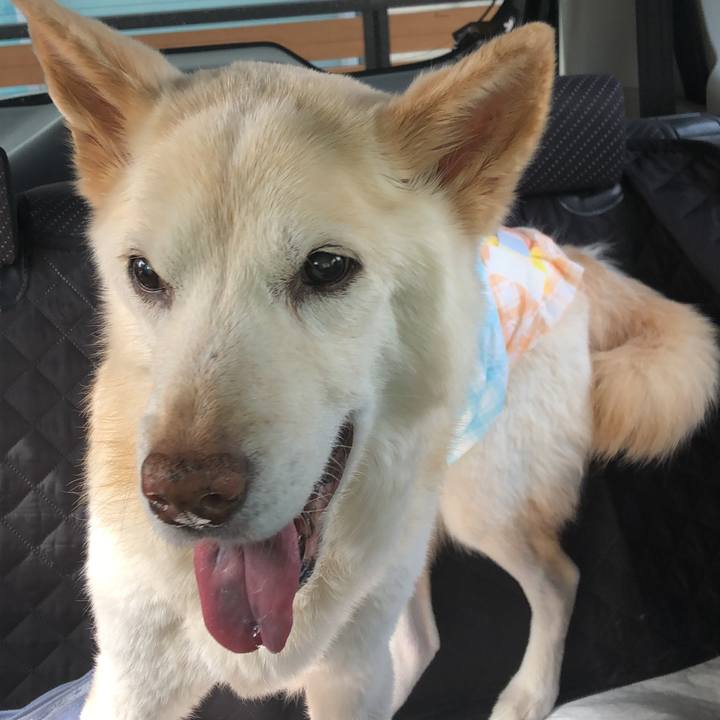 3255eea6 f64b 46b8 a7ab 828d63f2e27d 1647606093933