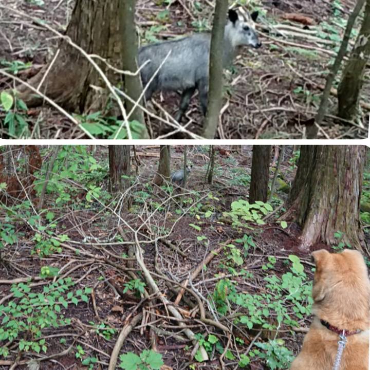 325640ab 7ccb 44f8 b0bd 2d8818b6efb7 1599986050644