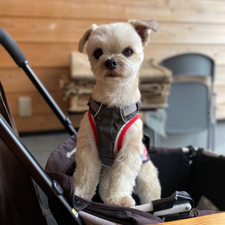 3256480c b524 447d ac8f 4fc983abf552 1590922041138