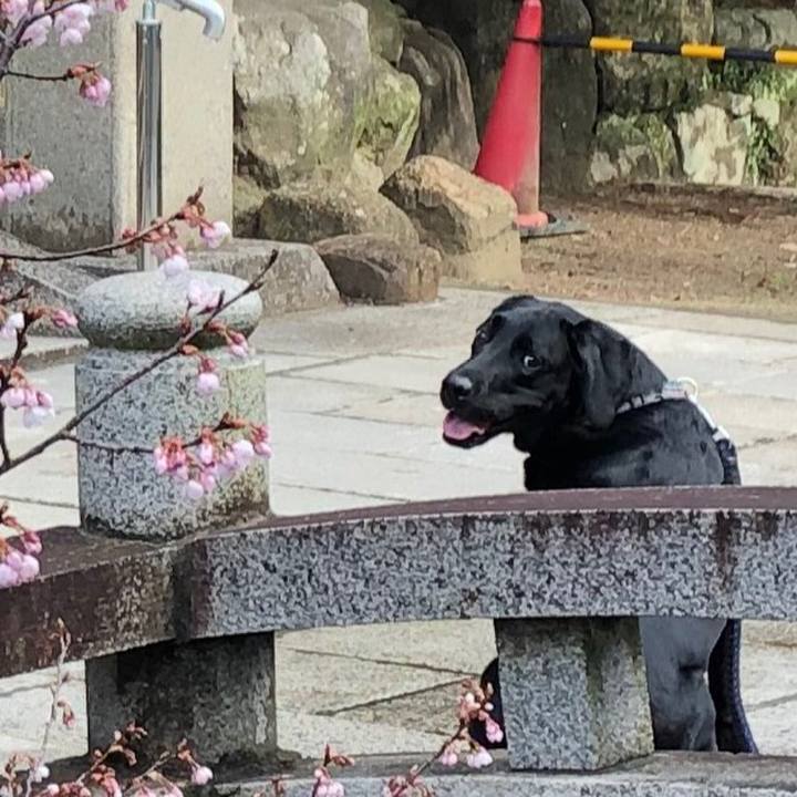 32568fac c0d0 4b91 bfbb 12e0a608f721 1583223378378