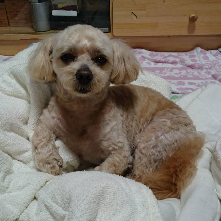 3256b75f a7cf 4c31 a8c0 28741f091a47 1592051026080