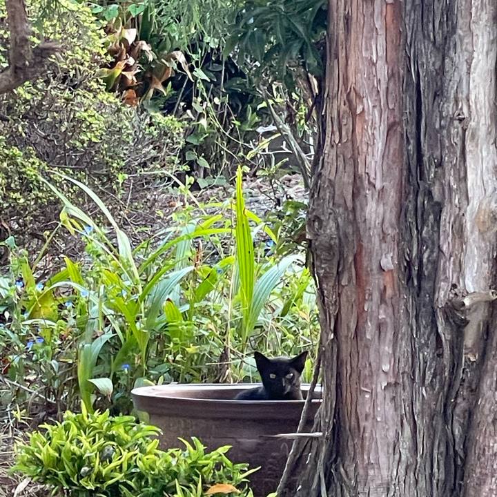 3256d614 8ca9 427f bc43 193f4bd8811d 1695935888090