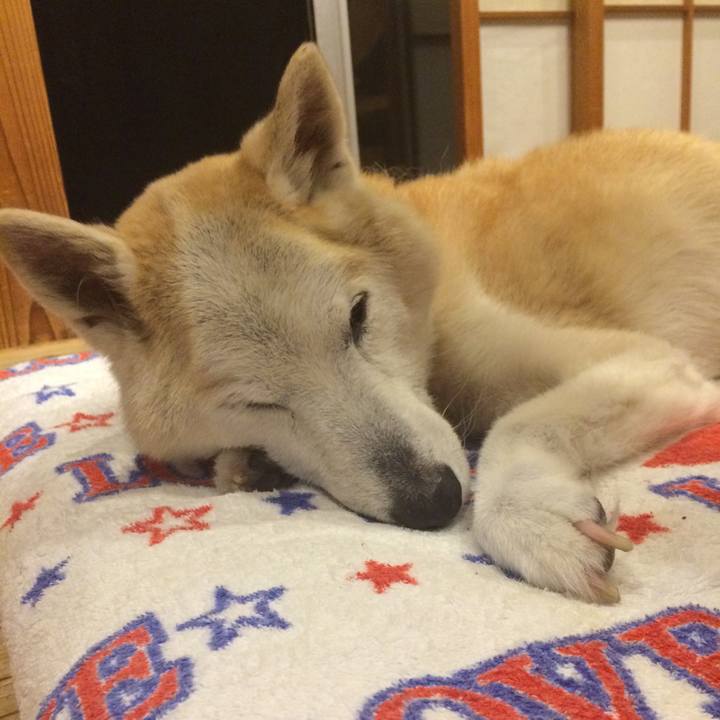 3256e008 a396 4cc3 b0c6 07c7b38b2eaf 1592232783023