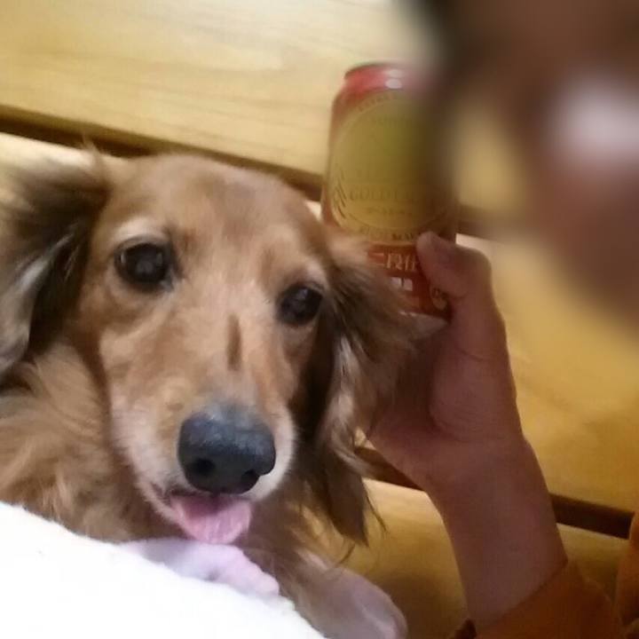 3256e104 dd84 46f9 a78f 00fa80310b09 1551186214550