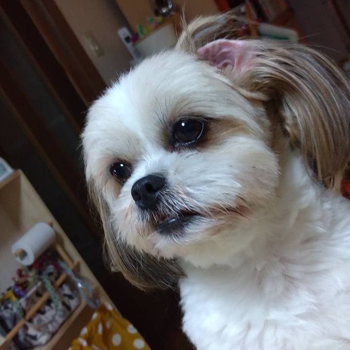 32570754 bf5e 4268 8e9c c23a3d76bf0b 1621508842261