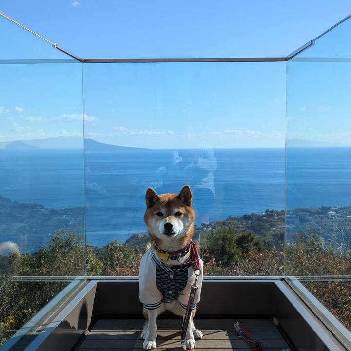 32570a99 4f94 44d7 a3bb c6030146fe83 1734619847618