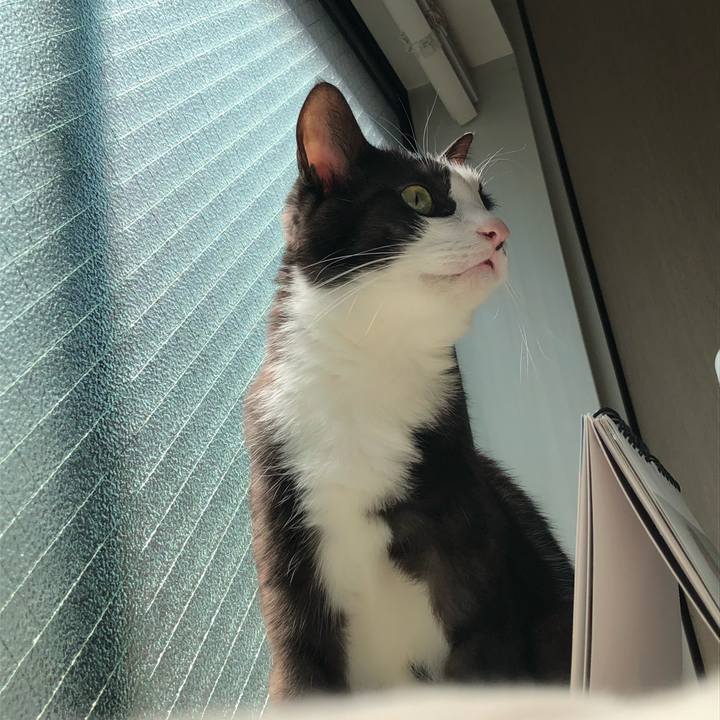 325739b5 8070 470b 802f b3672b9a53fe 1527480300234