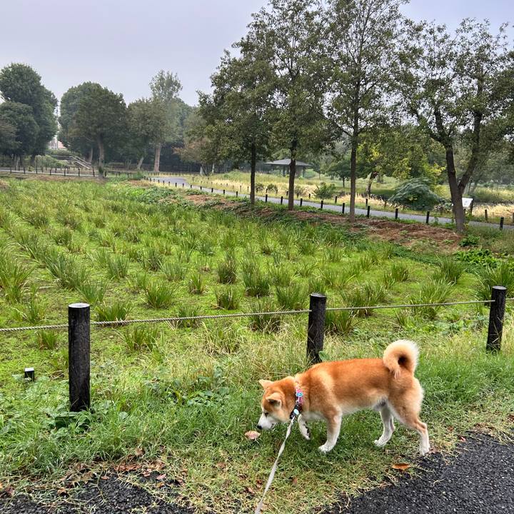 32573b2d 7089 4546 9588 6ea0131fc9ae 1761353352961