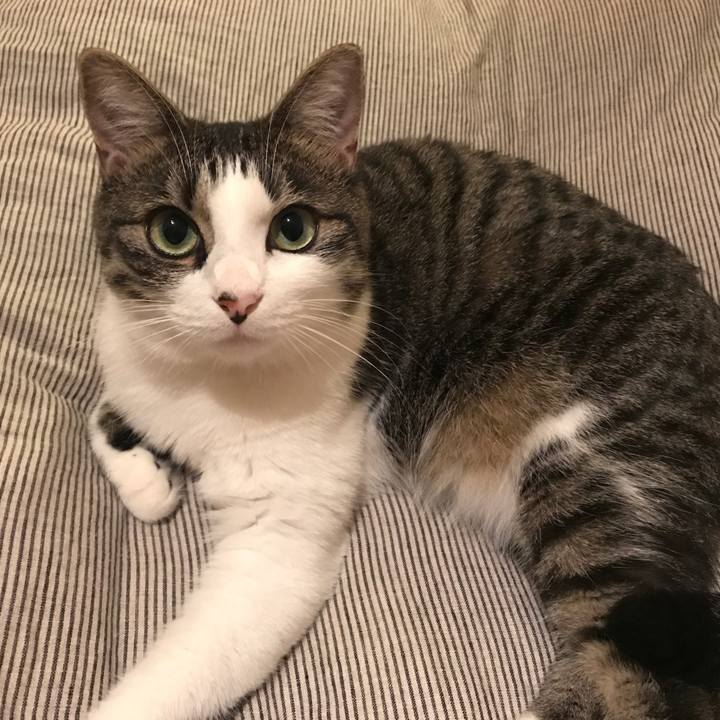 32574a93 12ca 4e37 9daf c932374dd1bd 1507908598475