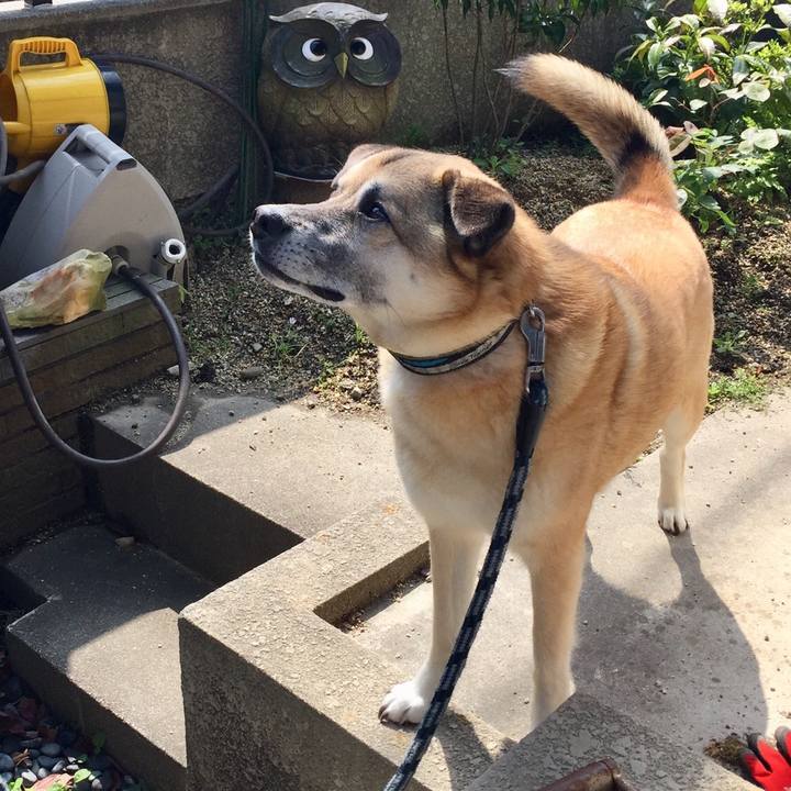 32574f2f b24e 43e6 ad2e 559c857c18df 1524877186667