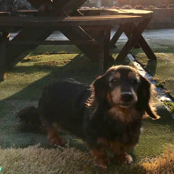 32576e14 dfc0 4349 9902 8f8dd0f76df4 1519443748926