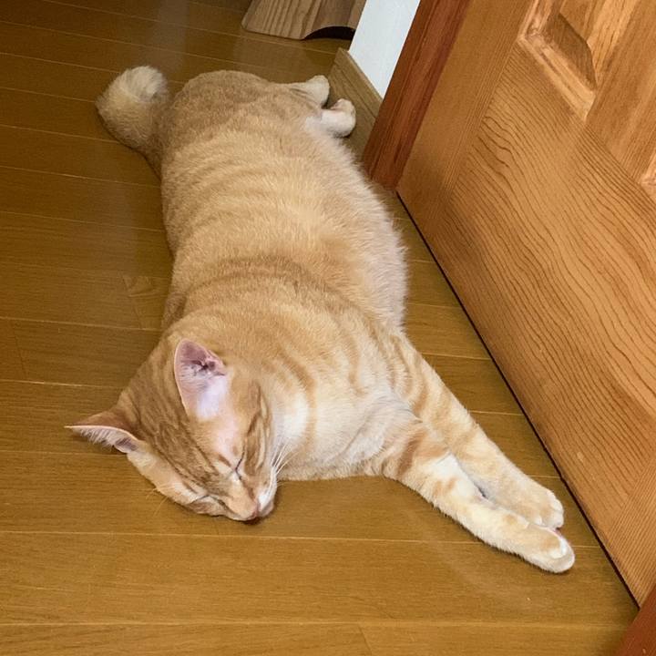 32577c36 7c61 4c38 a32e 7016695ff53d 1562761797252