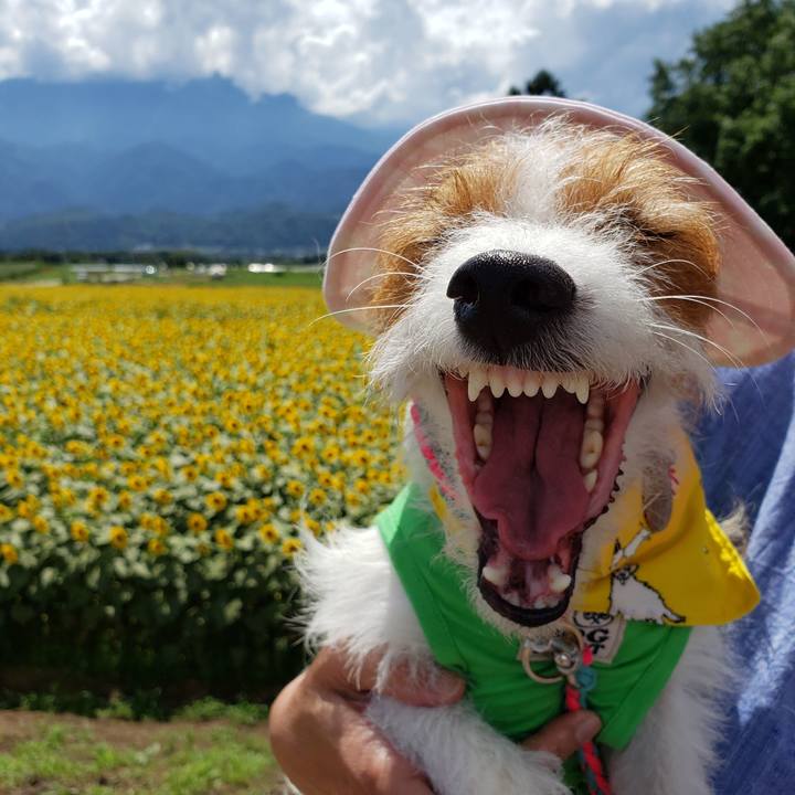 3257a6e7 52c4 4b3d b6db cfd5f8d412bd 1565069568209