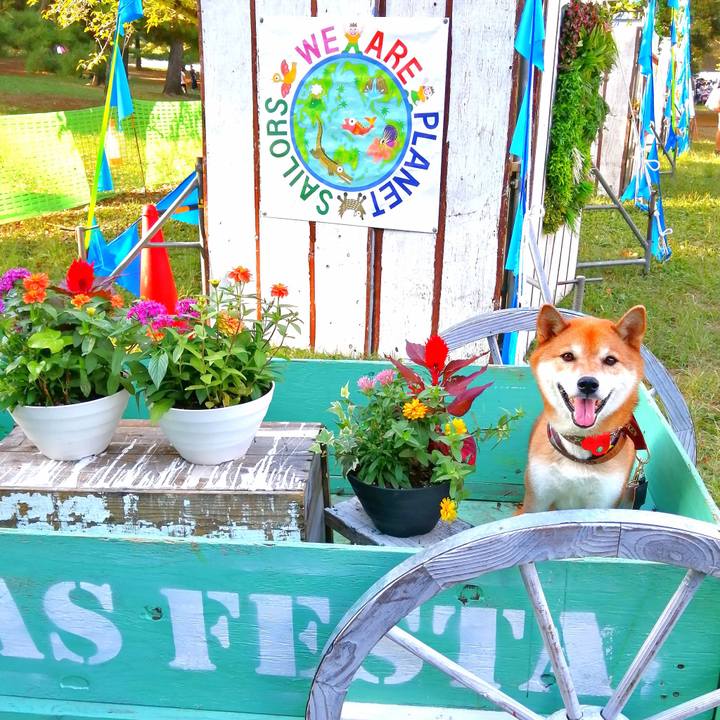 3257f80e 1a5f 4e78 958a 704ee937c5fc 1664623117725