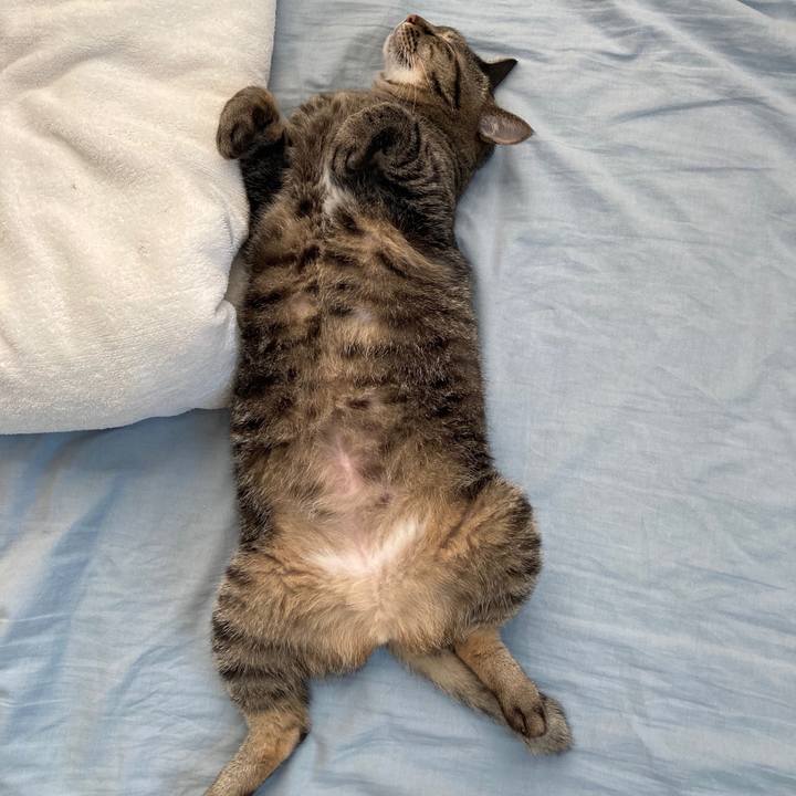 325845c8 5b29 4010 8d1a be35de95da0b 1597822272260