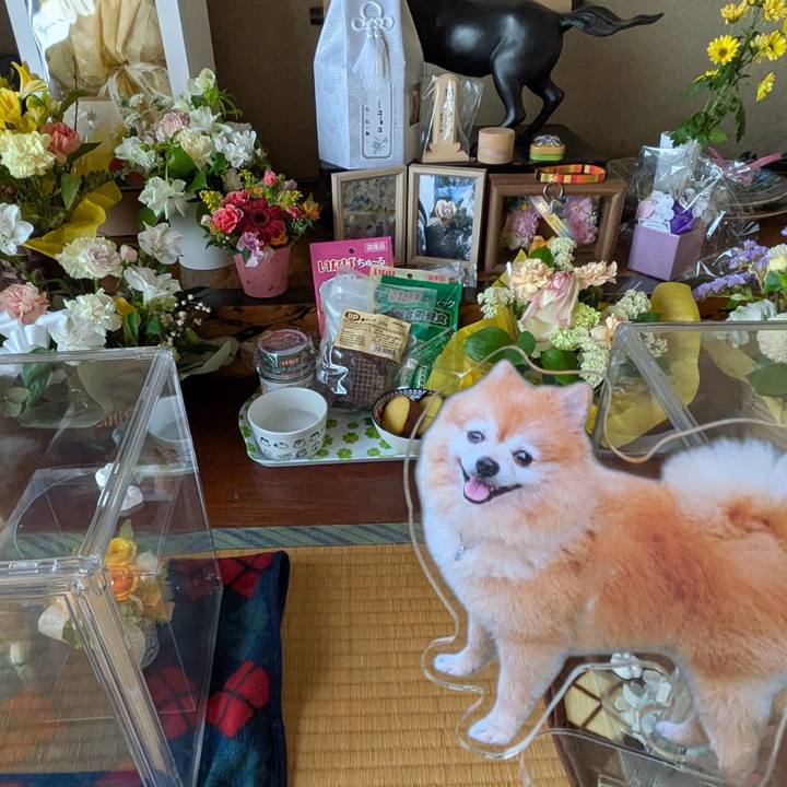 32586185 59c2 40de aeea 0b807a9843a1 1743244079732