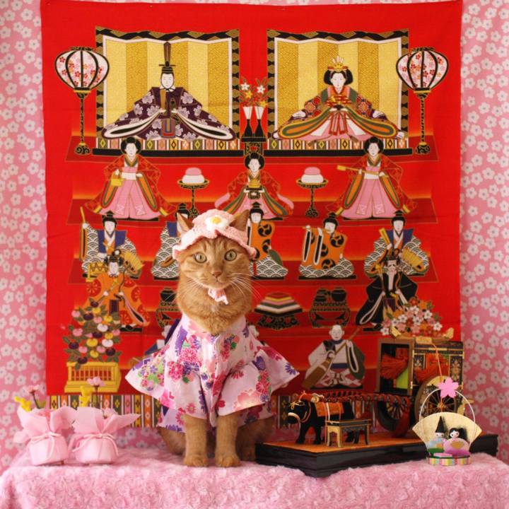 32587445 8999 44cf 9bd0 aeefbf1560b8 1772317697421