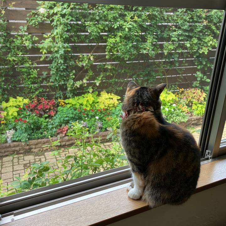 3258a806 1ca4 470a 8030 da92b479b362 1758586453626