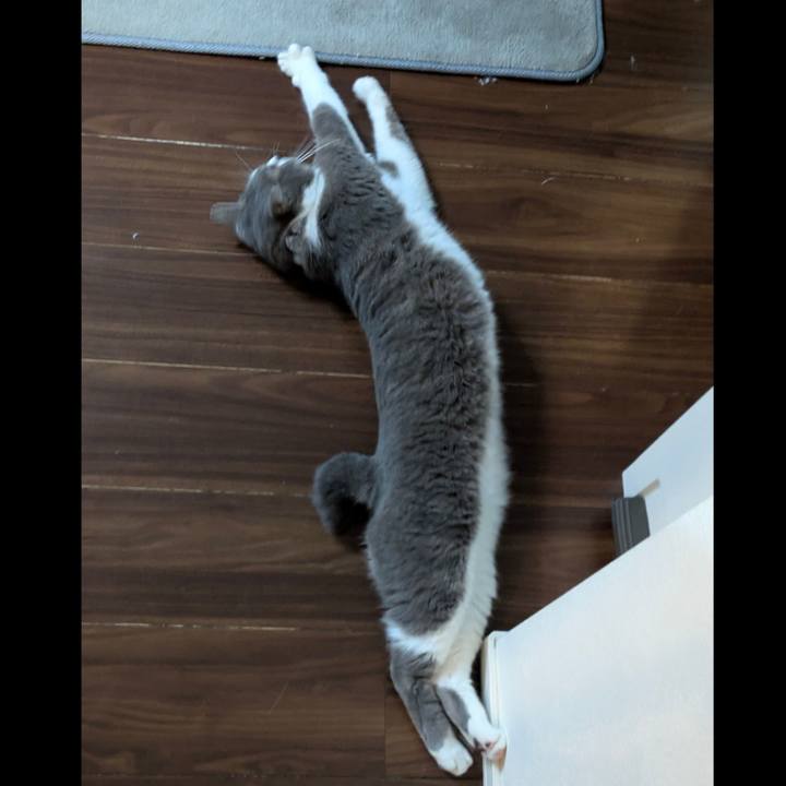 32590fd1 3003 460a 944f 61547f556b86 1751455853723