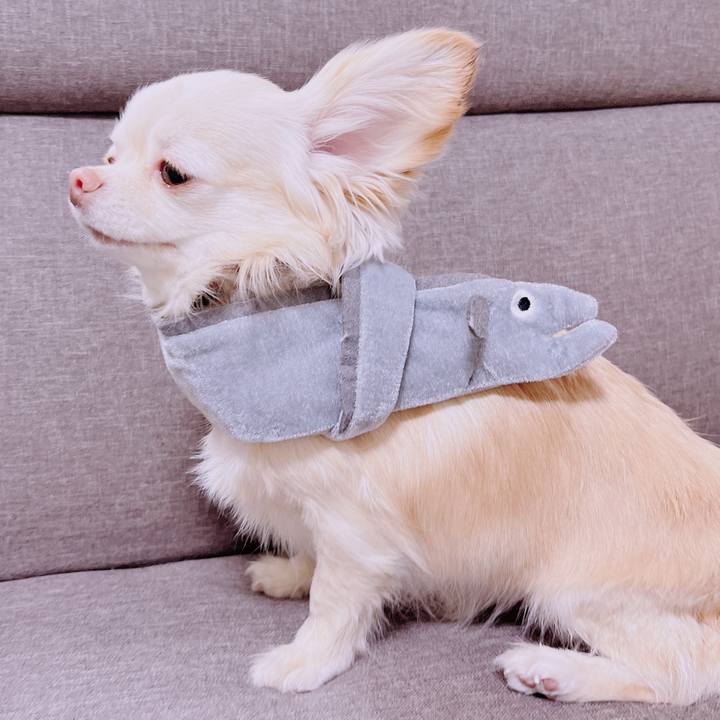 32591a08 88e7 4043 9dd3 99c1f959bcc4 1677742906273