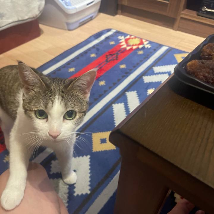 32592b6f f34a 4fb1 a59e 941520f84de9 1627221873548