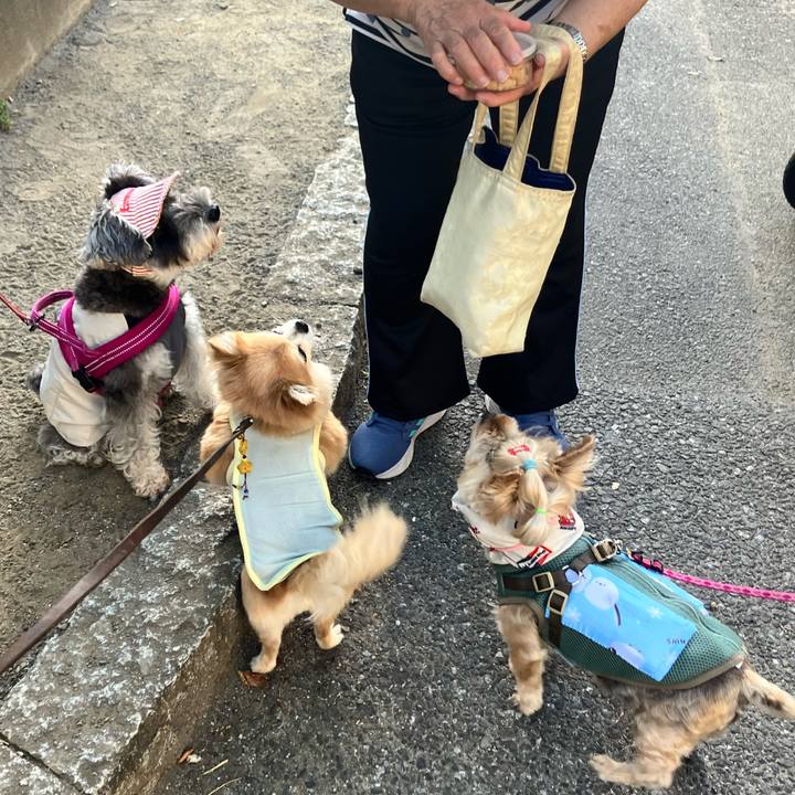 32595b81 8928 46e0 b60f 044f41366dbd 1753842125920