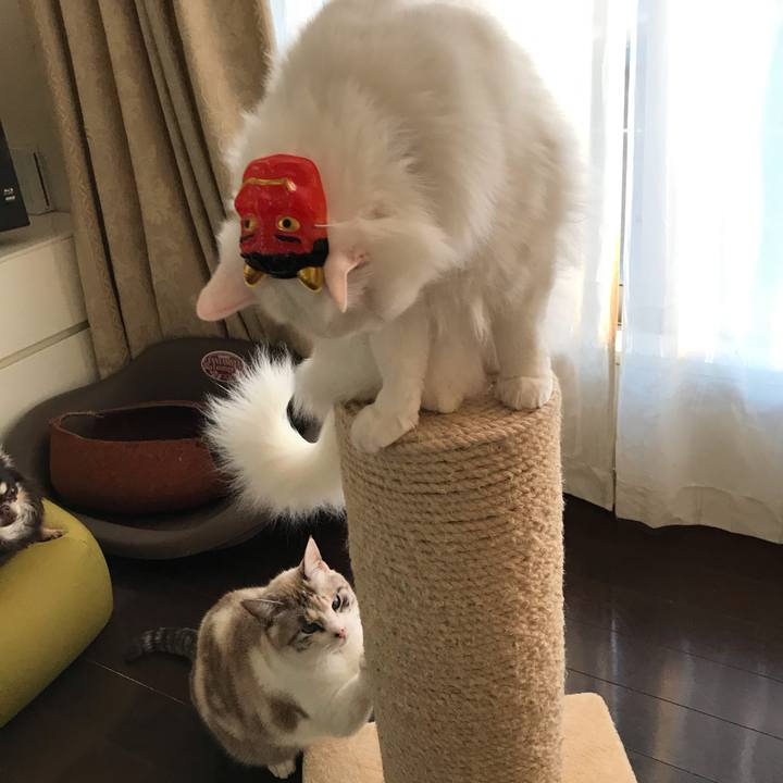 32595d37 55c9 4ecd b81b ac53a1d3bd87 1548494004059