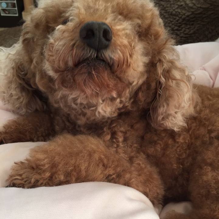 32598e88 c39f 45a5 b951 c5b8f54ee558 1553614507450