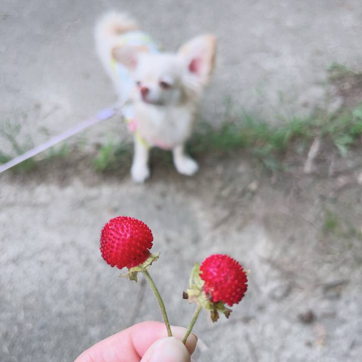 3259d769 d740 4f39 90ec 153cb7d06989 1684763629081