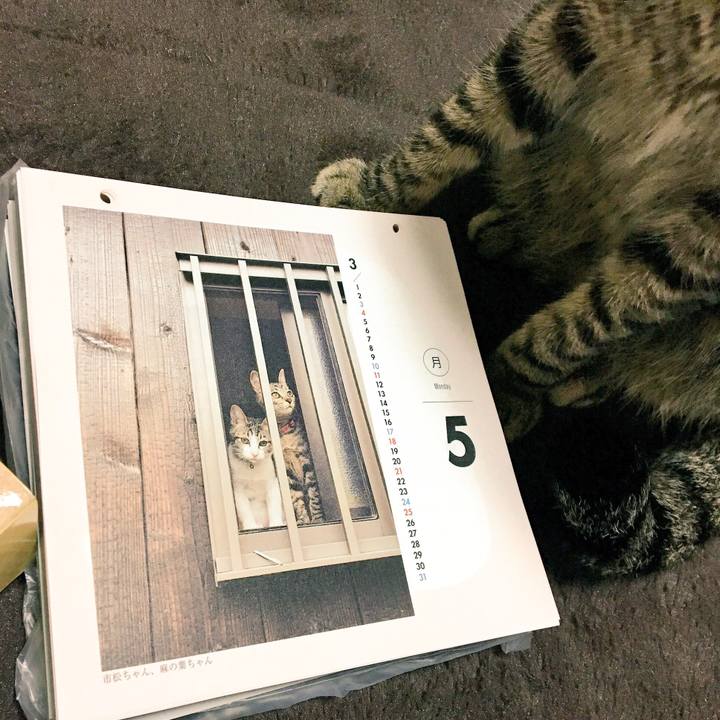 3259da90 6843 43cf a712 42f4fdeaaa00 1508484484318