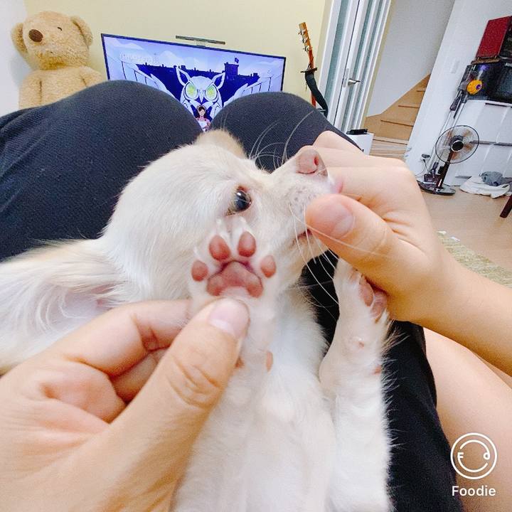 3259e824 3e3e 4ac5 8ce3 1f9f8016b129 1597723682229