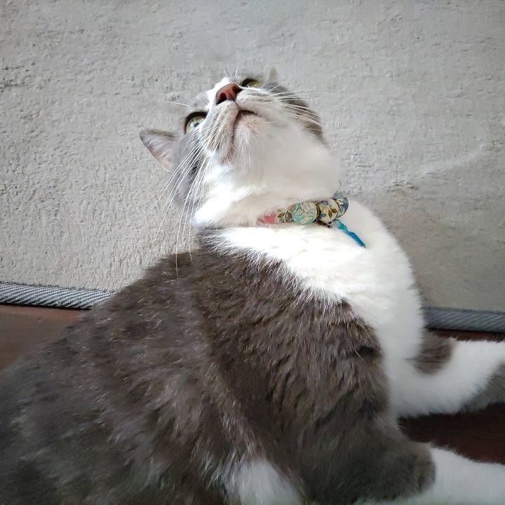 325a1520 a5b1 4baa bc7e 2c64e327a705 1691886723416