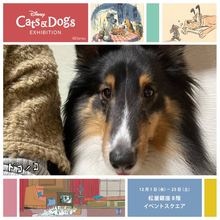 325a3d98 2485 4c00 b1a4 f3210fe133ea 1638958166461