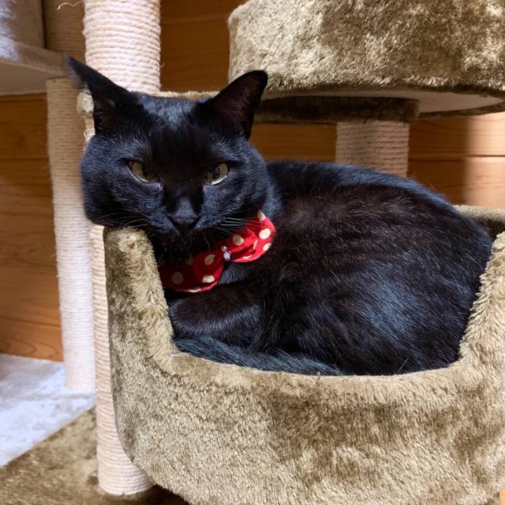 325a5fb2 30d9 40ab b4f2 b5fcb330f893 1560261863576