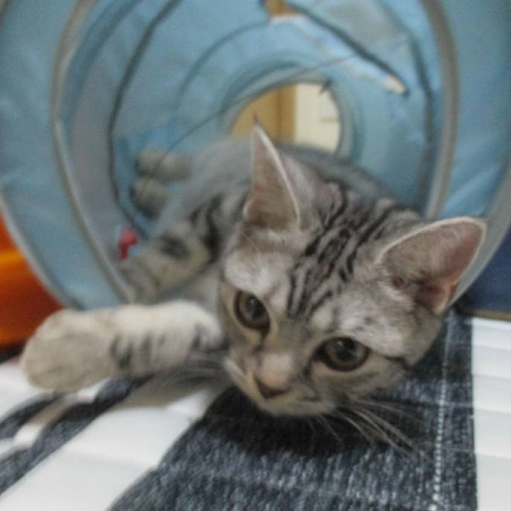 325a69a7 8994 4561 a75f 47ceaef6fed5 1546343305777