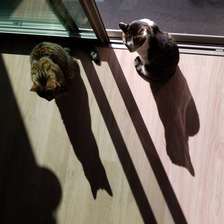 325a6a6d b7da 4dab ab9b 6ad50c6483bb 1572048713993