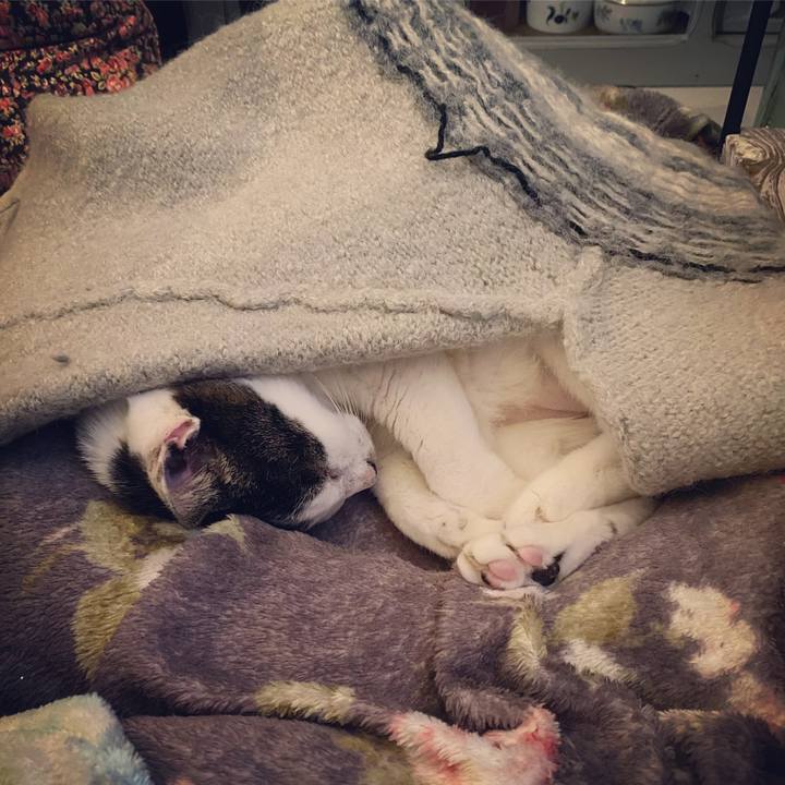 325a82d2 3509 480f b700 19f2c63d2032 1582902236946