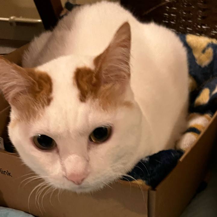 325aad96 8e7b 491d 89c8 b78a902c5597 1769610622874