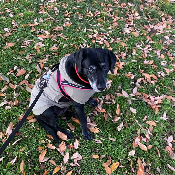 325ab7af 26fc 4272 9fb9 21321b9461b1 1638008127085