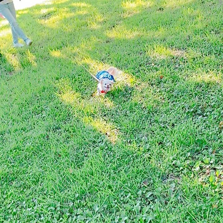 325ad58d f3a2 4f90 9cb2 0e5764d23bd1 1626608325691