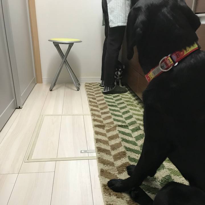 325ae2fe 471f 4cce bdb3 ae5eb753bdfe 1523484770440